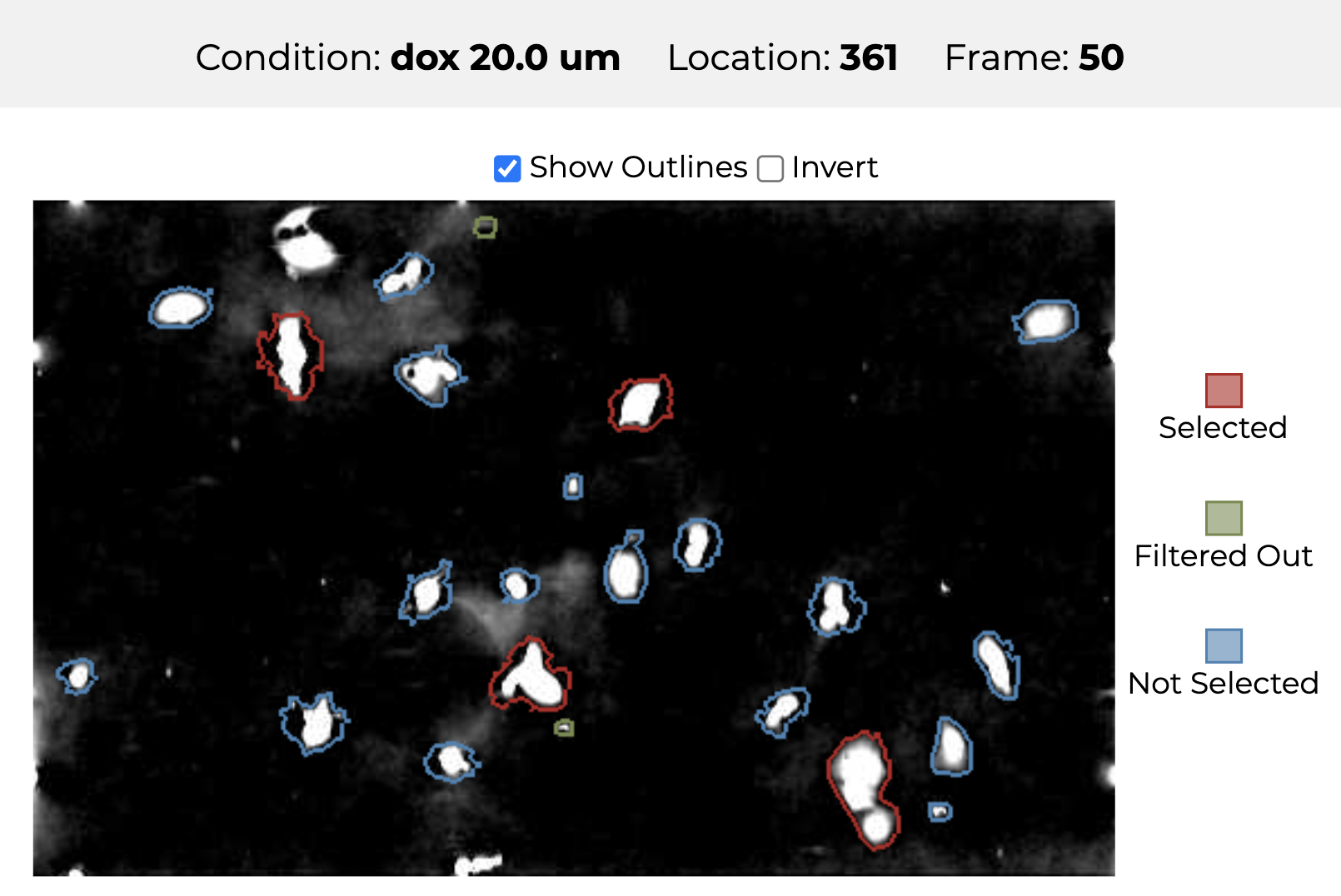 Parts of a visualization user interface that shows a microscopy image of cancer cells. The cells are easily recognized as white blobs. Outlines overlaid on top of the image visualize the segmentation of the cells. Some segmentations don’t look perfect. A few of the cells are selected, as indicated by the color of the outline.